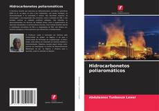 Couverture de Hidrocarbonetos poliaromáticos