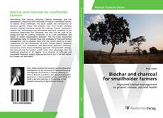 Copertina di Biochar and charcoal for smallholder farmers