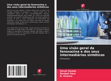 Обложка Uma visão geral da fenoxazina e dos seus intermediários sintéticos