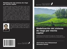 Copertina di Modelización del sistema de riego por mecha capilar