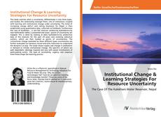 Copertina di Institutional Change & Learning Strategies For Resource Uncertainty