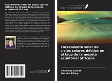 Обложка Forzamiento solar de ciclos solares débiles en el lago de la meseta ecuatorial africana