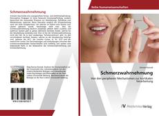 Portada del libro de Schmerzwahrnehmung