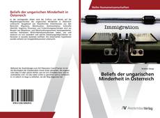 Copertina di Beliefs der ungarischen Minderheit in Österreich