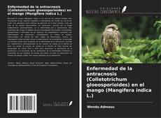 Borítókép a  Enfermedad de la antracnosis (Colletotrichum gloeosporioides) en el mango (Mangifera indica L.) - hoz