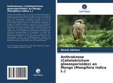 Copertina di Anthraknose (Colletotrichum gloeosporioides) an Mango (Mangifera indica L.)