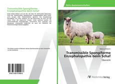 Copertina di Transmissible Spongiforme Enzephalopathie beim Schaf