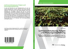 Copertina di Lichtverschmutzung: Folgen und Planungsempfehlung