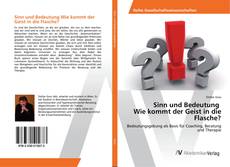 Buchcover von Sinn und Bedeutung Wie kommt der Geist in die Flasche?