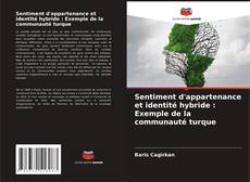 Sentiment d'appartenance et identité hybride : Exemple de la communauté turque的封面