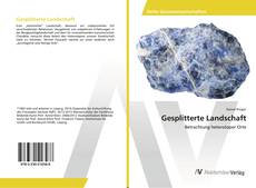 Copertina di Gesplitterte Landschaft