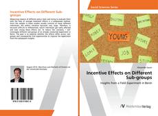 Copertina di Incentive Effects on Different Sub-groups