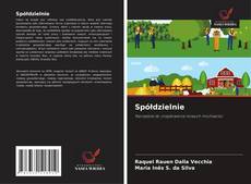 Spółdzielnie的封面