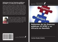 Copertina di Reformas de las finanzas públicas: El MTEF y su eficacia en Namibia