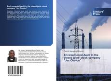 Environmental Audit in the closed joint- stock company "Jsc Obolon" kitap kapağı