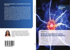 Buchcover von Channel Equalization using Multiplicative Neural Networks