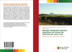 Bookcover of Manejo integrado plantas daninhas em áreas de reforma de cana crua