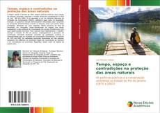 Bookcover of Tempo, espaço e contradições na proteção das áreas naturais
