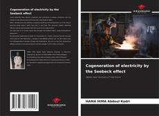 Buchcover von Cogeneration of electricity by the Seebeck effect