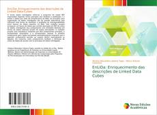 EnLiDa: Enriquecimento das descrições de Linked Data Cubes kitap kapağı