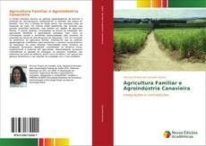 Capa do livro de Agricultura Familiar e Agroindústria Canavieira 