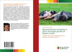 Bookcover of Aproveitamento energético a partir do biogás gerado de dejetos suínos
