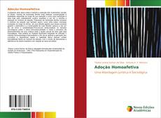 Bookcover of Adoção Homoafetiva