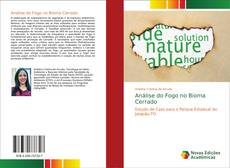 Bookcover of Análise do Fogo no Bioma Cerrado