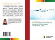 Capa do livro de Simulação Numérica de Fluxo de Águas Subterrâneas, Aquífero Rio Claro 