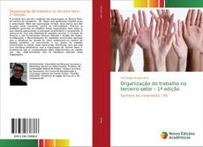 Buchcover von Organização do trabalho no terceiro setor - 1ª edição