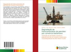 Capa do livro de Degradação de hidrocarbonetos de petróleo por consórcio bacteriano 