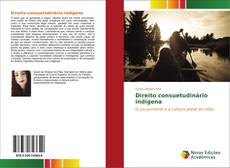 Buchcover von Direito consuetudinário indígena