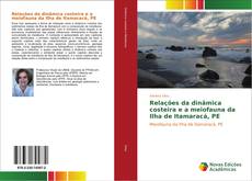 Bookcover of Relações da dinâmica costeira e a meiofauna da Ilha de Itamaracá, PE