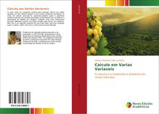 Calculo em Varias Variaveis kitap kapağı