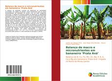 Balanço de macro e micronutrientes em bananeira ‘Prata Anã’的封面