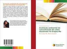 Capa do livro de Avaliação ambiental da concentração de cobre dissolvido rio Grajaú-Ma 