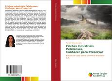 Buchcover von Friches Industriais Pelotenses, Conhecer para Preservar