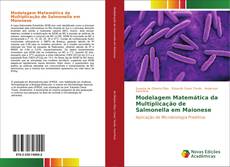 Capa do livro de Modelagem Matemática da Multiplicação de Salmonella em Maionese 
