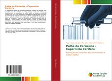 Palha da Carnaúba - Copernicia Cerifera的封面