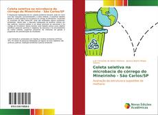 Copertina di Coleta seletiva na microbacia do córrego do Mineirinho - São Carlos/SP