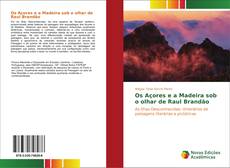 Os Açores e a Madeira sob o olhar de Raul Brandão的封面
