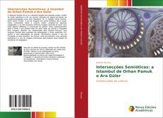 Intersecções Semióticas: a Istambul de Orhan Pamuk e Ara Güler的封面