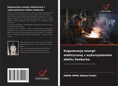 Copertina di Kogeneracja energii elektrycznej z wykorzystaniem efektu Seebecka