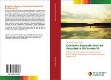Bookcover of Contexto Deposicional da Sequência Balbuena III