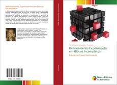 Delineamento Experimental em Blocos Incompletos的封面