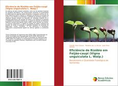 Capa do livro de Eficiência de Rizóbio em Feijão-caupi (Vigna unguiculata L. Walp.) 
