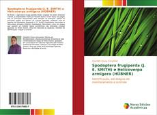 Copertina di Spodoptera frugiperda (J. E. SMITH) e Helicoverpa armigera (HÜBNER)