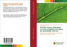 Borítókép a  Pinhão manso (Jatropha curcas) irrigado com água de qualidade inferior - hoz