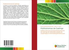 Bookcover of Fitofisionomias de Caatinga