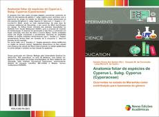 Couverture de Anatomia foliar de espécies de Cyperus L. Subg. Cyperus (Cyperaceae)